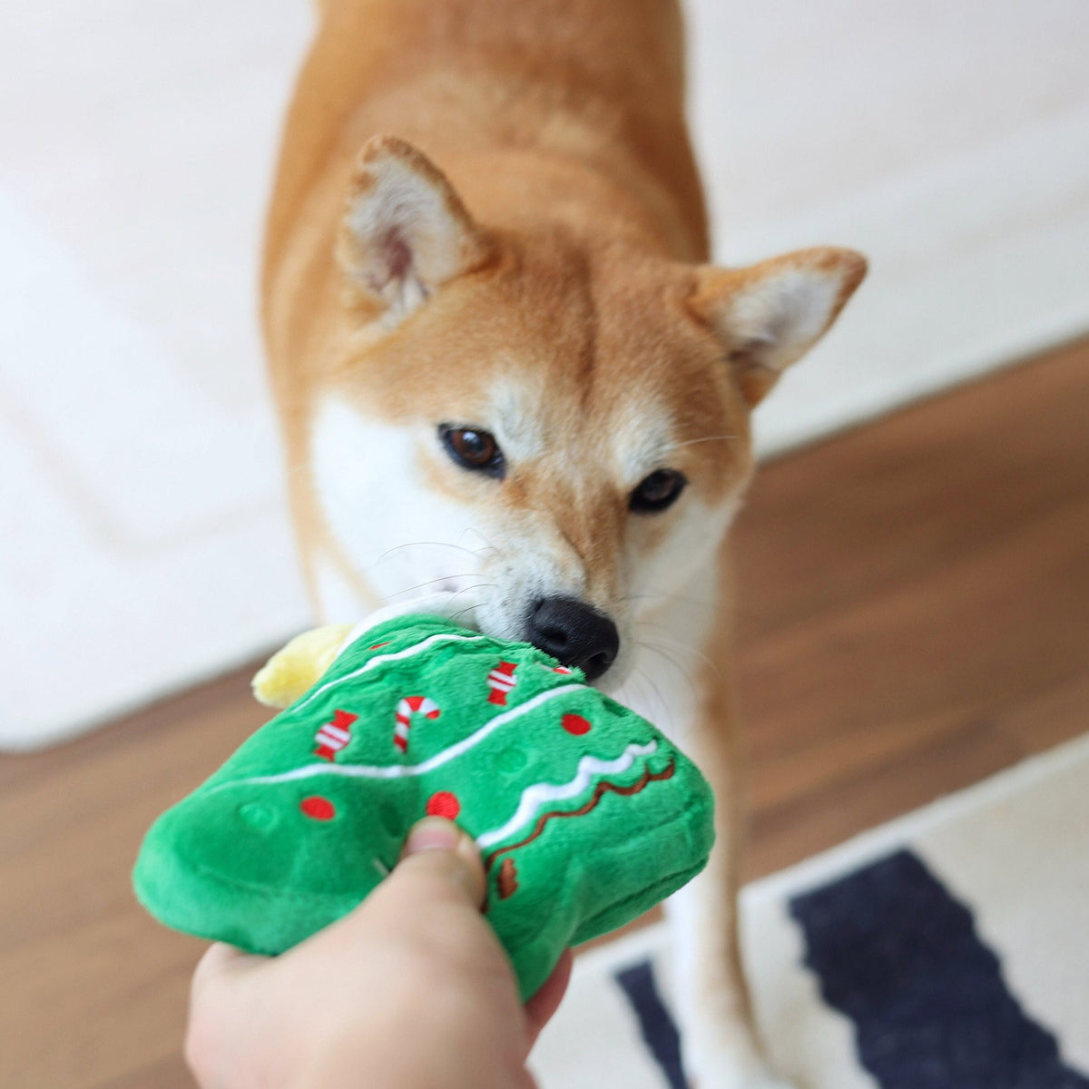 Christmas Tree Plush Dog Toy Main View