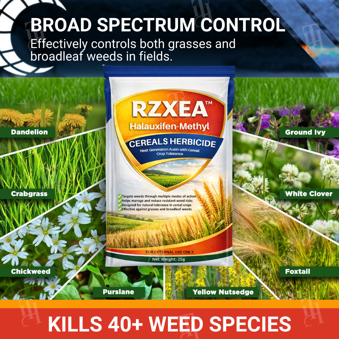 🌾RZXEA™ Halauxifen-methyl Cereals Herbicide🛡️Root Nutrient Turbocharger🌱