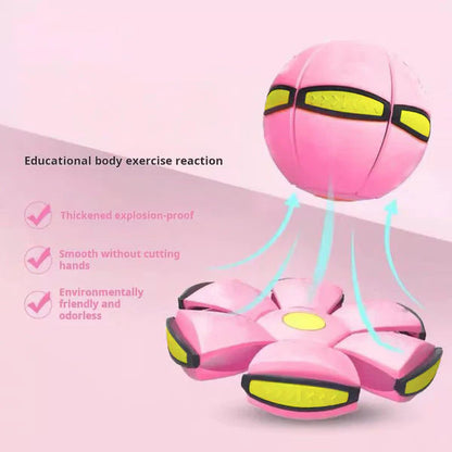 🔥Kids’ Magic Metaball — bouncy ball & flying saucer for family and pets🌈