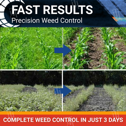 🌾RZXEA™ Halauxifen-methyl Cereals Herbicide🛡️Root Nutrient Turbocharger🌱
