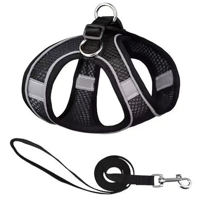 Reflective Dog and Cat Harness Leash Set Main View