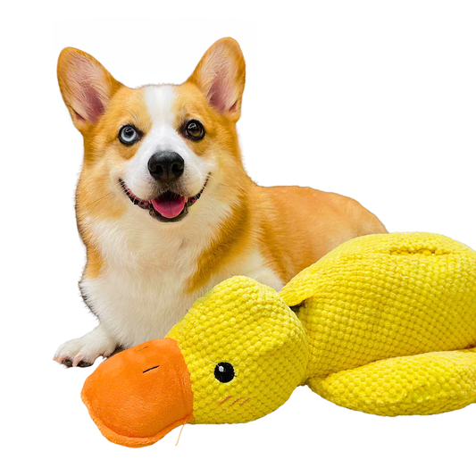 Calming Duck Squeaky Toy Main View