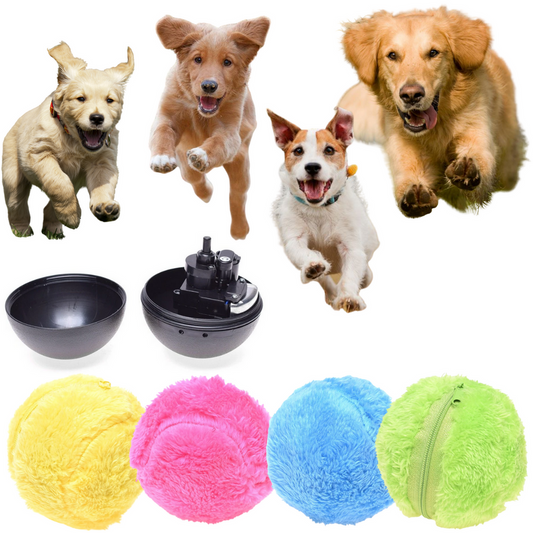 Active Rolling Ball Toy Main View