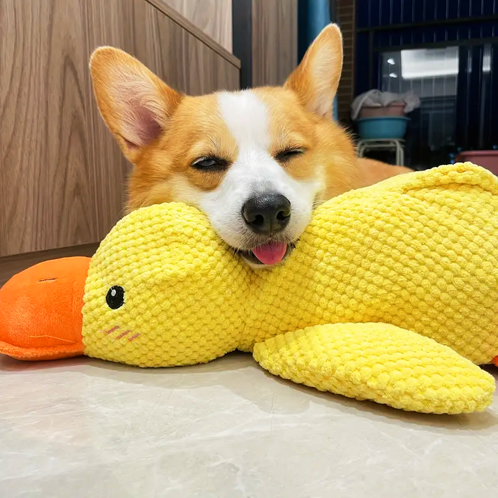 Calming Duck Toy Close Up Detail