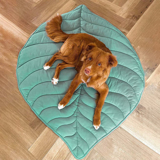Leaf Shape Dog Blanket Lifestyle View